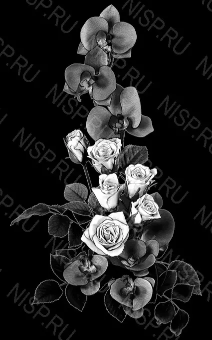 Букет из роз и орхидей 2867. Изображения для гравировки на гранитных  памятниках